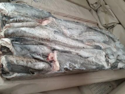 Кета б/г с/м 1/24 Майборг, кг - Доставка продуктов питания