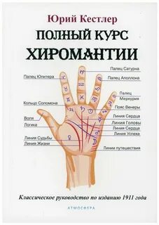 Основы хиромантии