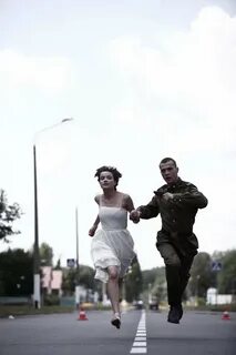 Чернобыль мотыльки