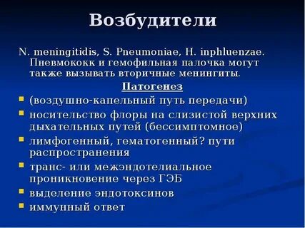 Палочка пневмококка