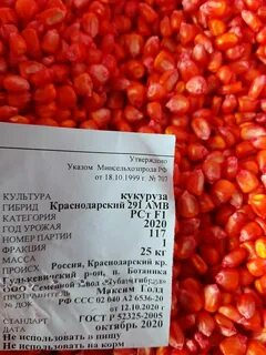 Семена кукурузы краснодарский