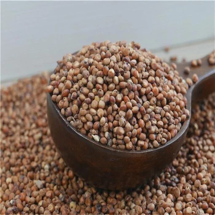 Аминокислотный состав бобовых культур. Строение семенной оболочки зерна пшеницы. Яровой ячмень вакула. Элементов зерна. Элементов зерна.