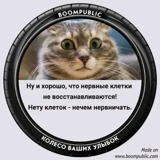 Клетки не восстанавливаются