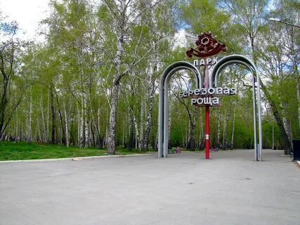 Березовая роща новосибирск улицы