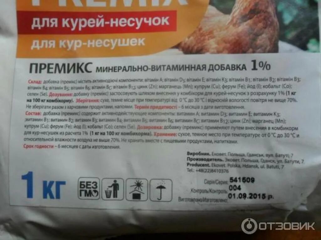 Ракушки курицам как давать правильно