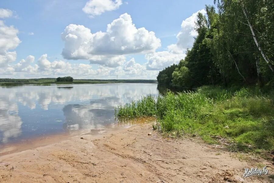 Погода в чечевичах. Чечевичи база отдыха тихий остров. Деревня чечевичи могилевская область. Погода в чечевичах. Деревня чечевичи могилевская область.