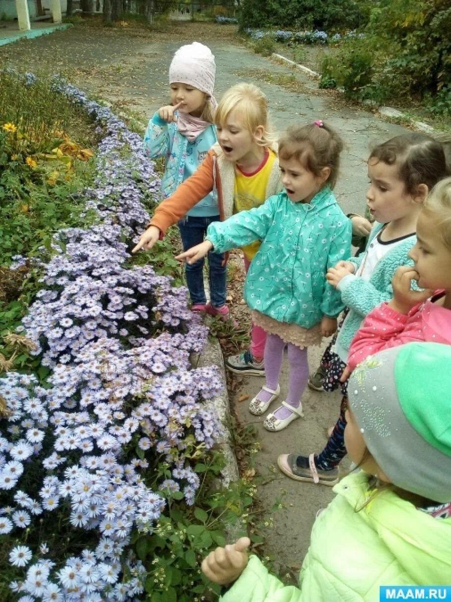 Наблюдение на прогулке в мае. Цветник в детском саду. клумбы в доу. дошкольники на прогулке и клумба. наша клумба в детском саду.