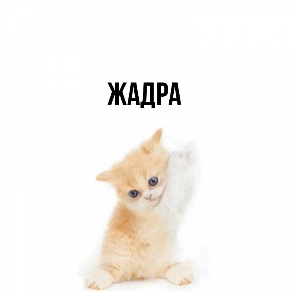 Не ю