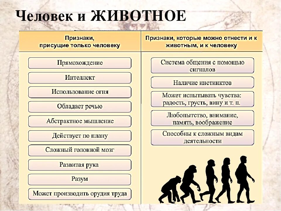 Выберите из списка социальные. Сходство и отличие человека от животных. Сходства и различия человека и животного. Сходства человека и животного Обществознание. Сходства человека от животного Обществознание.