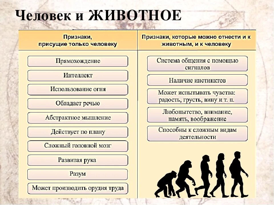 Человека от животного отличает особенность. Сходства и различия человека и животногг. Общее и различие человека и животного. Отличия и сходства человека и животного. Сходства человека и животного Обществознание.