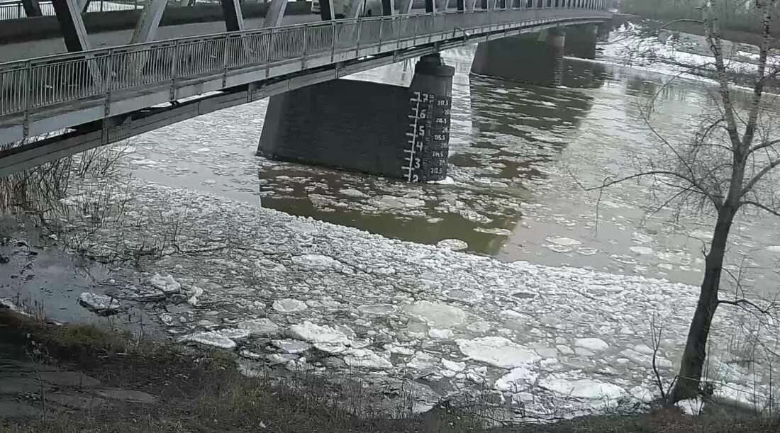 Уровень рек в новокузнецке веб камера. Томь Новокузнецк. Кондома река в Новокузнецке. Река Томь Новокузнецк. Речка Томь Новокузнецк мост 2023.