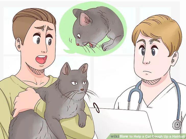 Почему кошка кашляет. Кашель у кошки. как кашляют кошки. котик кашляет. кот кашляет мем.