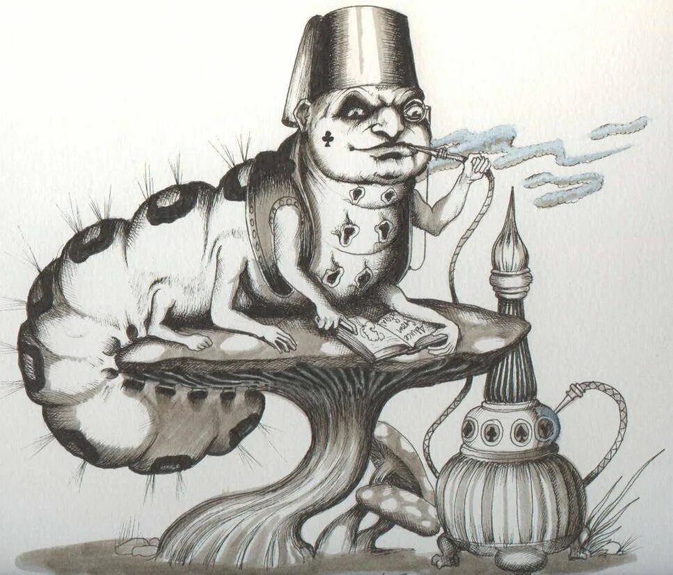 Кальянная енот краснодар. Енот в баре. Енот кальян. Кот с кальяном. Кафе с енотами в москве.