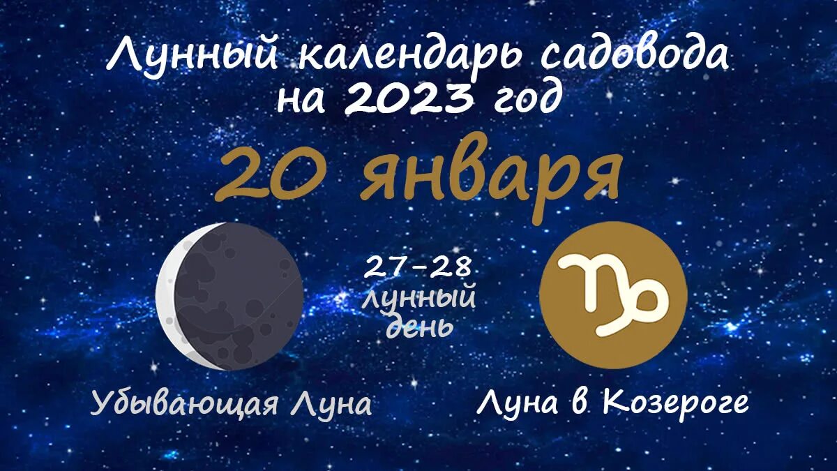 Какой лунный день январь 2023. Какой лунный день январь 2023