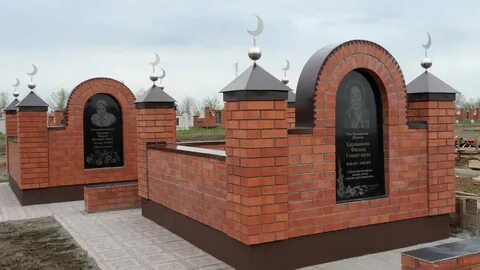 Пискадағы трусилардың фотосы