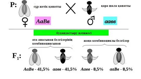 Жалаңаш Сиваева порно