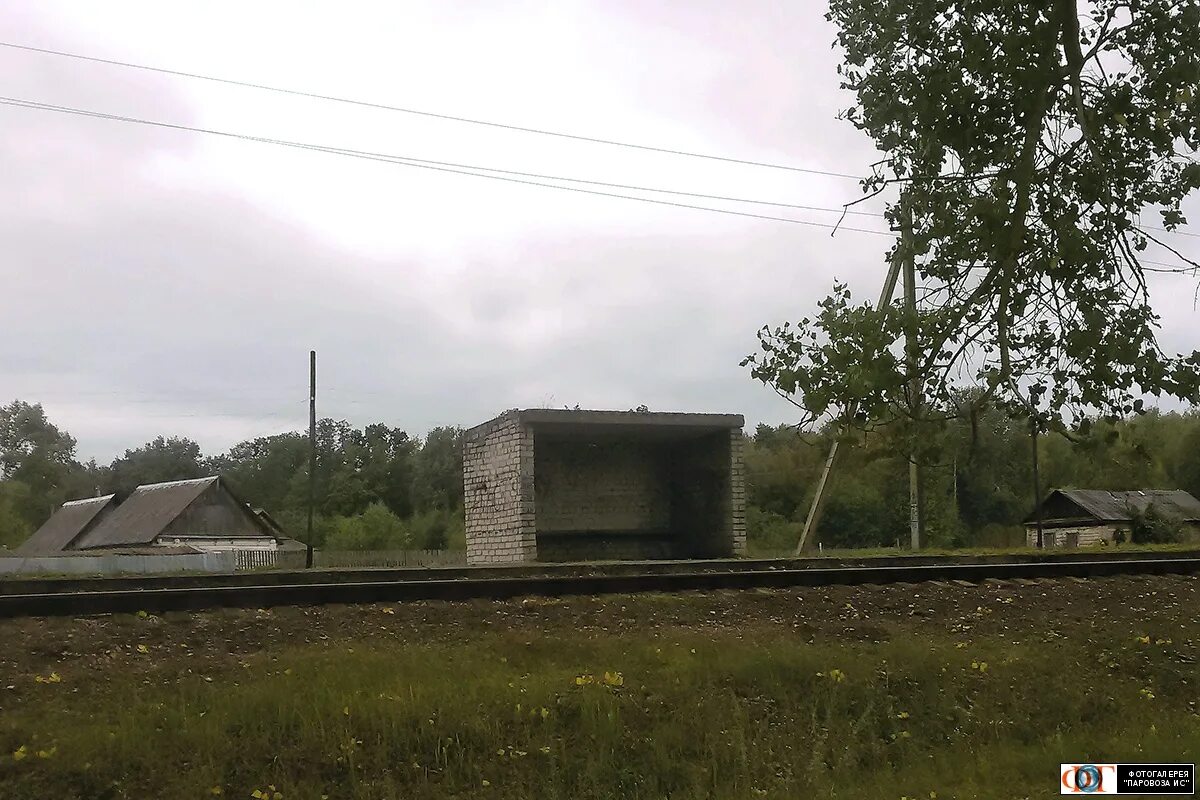 Суземка Брянская область. ЖД ветка Суземка Трубчевск. Рабочий посёлок Суземка. Станция Суземка Брянской области. Прогноз погоды в суземке