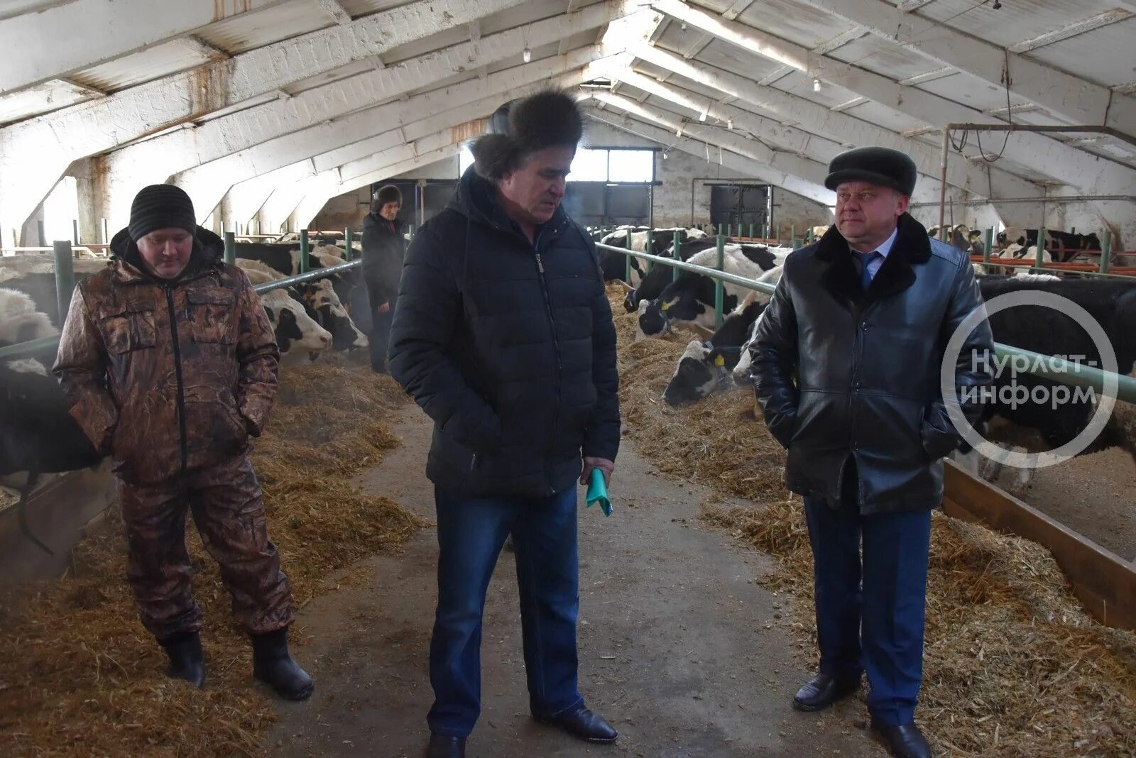 Погода кочневка татарский. Щеглово Чановский район. День животновода. СХПК Новомихайловский колхоз татарский район. КФХ Юлдаш Мордовия.