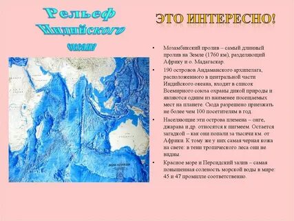 Рельеф индийского океана кратко