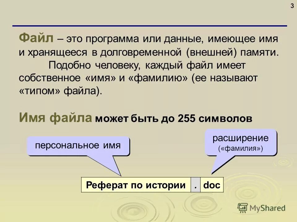определите понятие файл. каждый файл имеет только имя имя и расширение только расширение. каждый файл имеет имя. каждый файл имеет только. каждый файл имеет только.