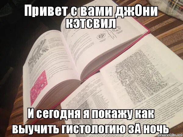 Гистология мемы. Как выучить гистологию. Мемы по гистологии. Гистология черт возьми фанфик