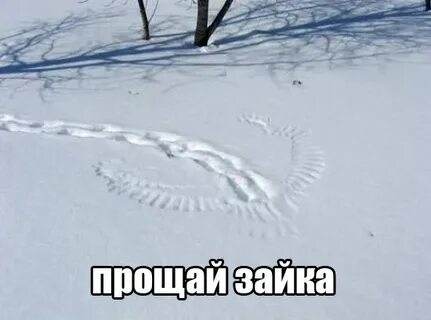 Падаем следам