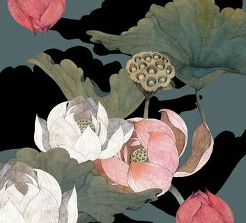 Lands lotus
