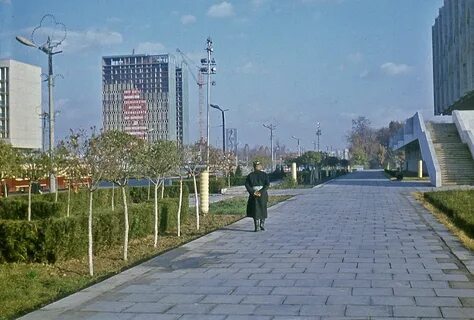 Во время ташкент