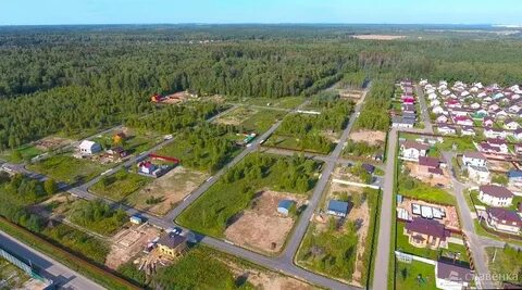 Шишкино парк домодедово