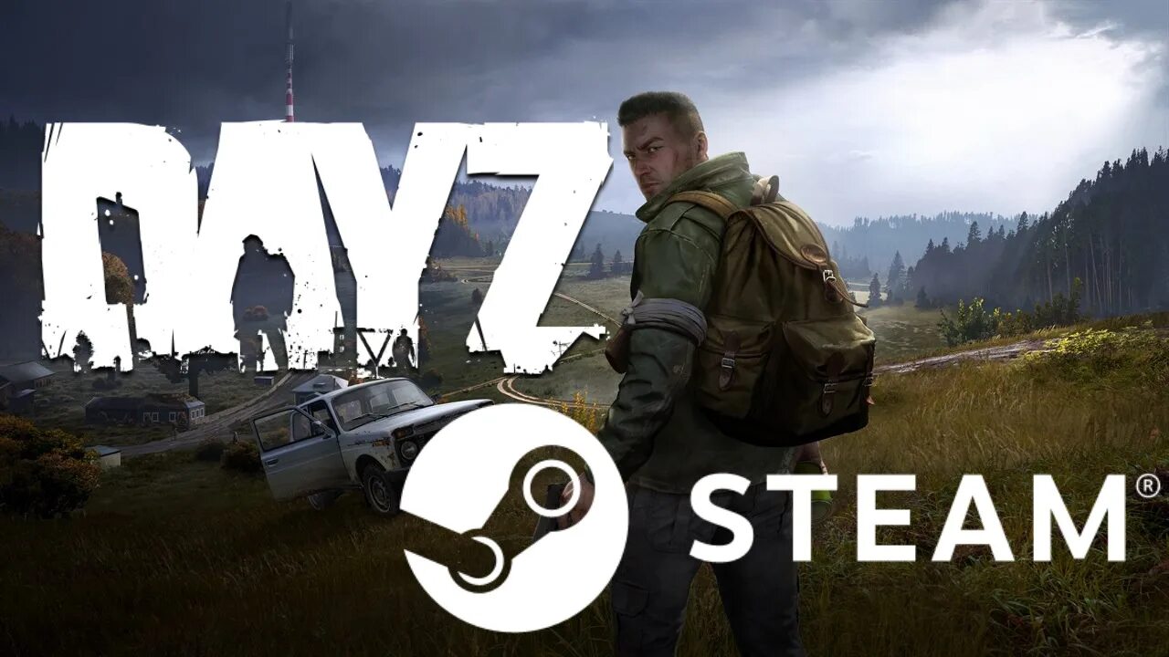 Купить аккаунт dayz. DAYZ стим. Фото на рабочий стол DAYZ. DAYZ игра в стим. DAYZ купить.