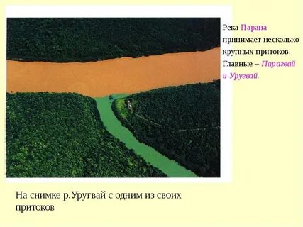 Устье реки парана