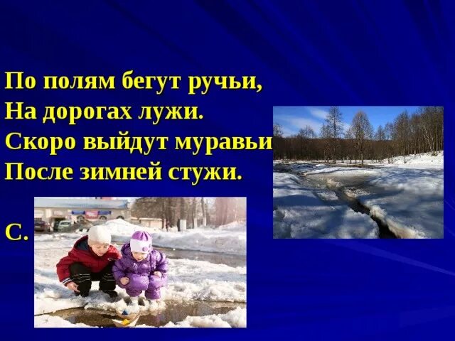 Выйдут муравьи после зимней стужи