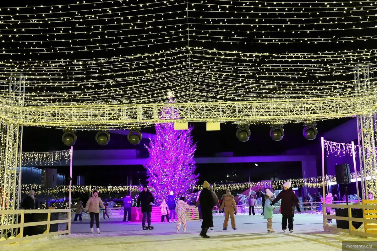 Экспо елка 2022 екатеринбург. Парк аттракционов экспо елка 2023. Экспо елка. Новогодняя елка в экспо екатеринбург. Елка новогодняя в екатеринбурге экспоцентр.