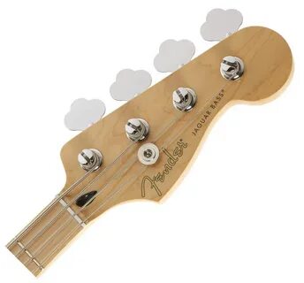 Fender player