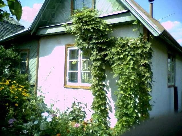 Дача в коллективном саду. Нижний тагил дача капасиха. Пос старатель нижний тагил. Сады нижний тагил. Сады в нижнем тагиле.