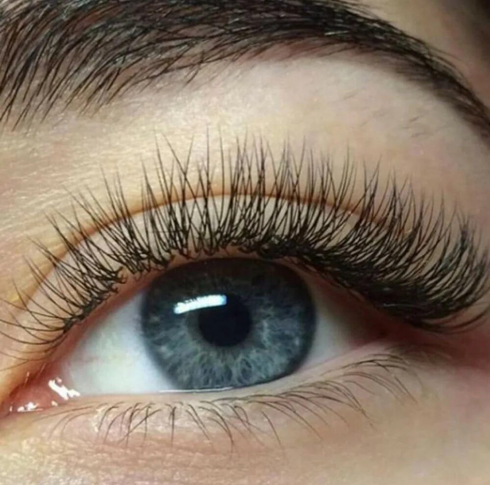 Ресницы 10д. Наращивание ресниц суджа. Кукольный лисий беличий эффект ресниц. Ресницы для наращивания. Реснички наращивание.