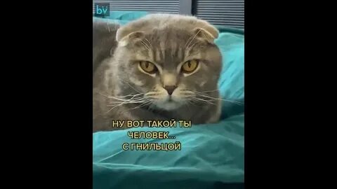 Не совсем согласна
