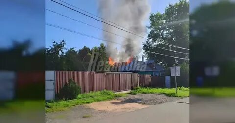 Дрон над кучино