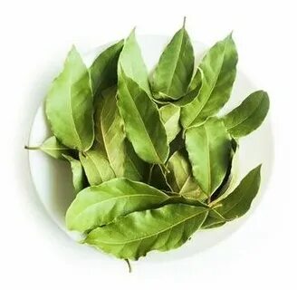 Лавровый лист от моли