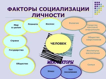 Три группы социализации
