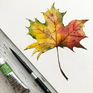 Лист клена акварелью