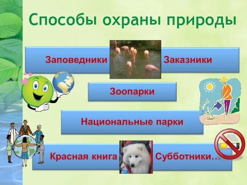 Методы защиты природы. Современные способы защиты природы. Охрана природы. Способы охраны природы.