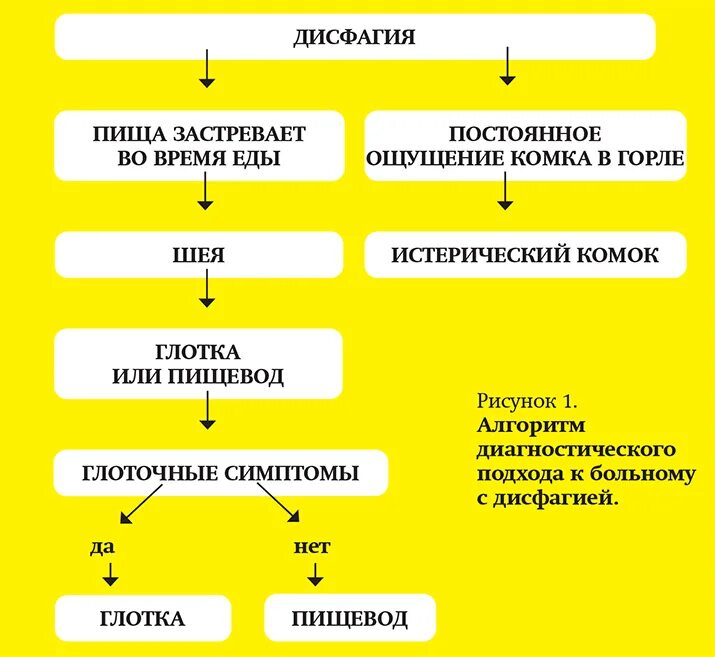 Патогенез дисфагии. Патогенез нарушения глотания. Дисфагия механизм возникновения. Синдром дисфагии патогенез.