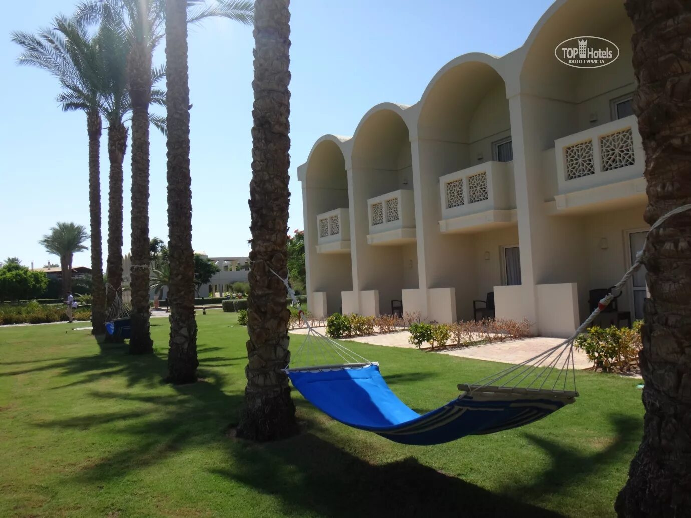 Риф Оазис Шарм. Риф Оазис Бич Резорт. Reef Oasis Beach Resort 5. Reef Oasis Beach Resort 5 Шарм-Эль-Шейх.