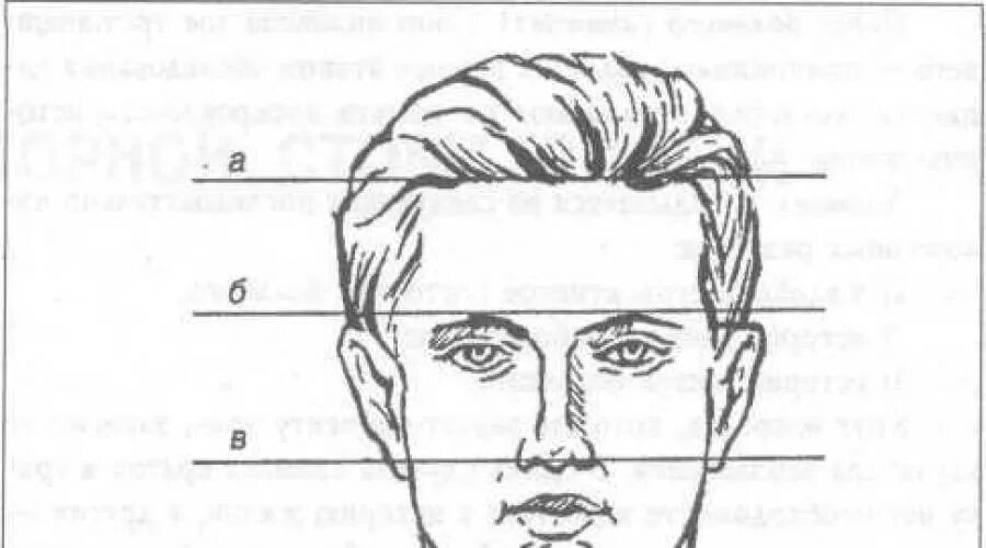 Метод Канторовича стоматология. Деление лица на трети. Средняя трети части лица. Верхняя средняя и нижняя треть лица.
