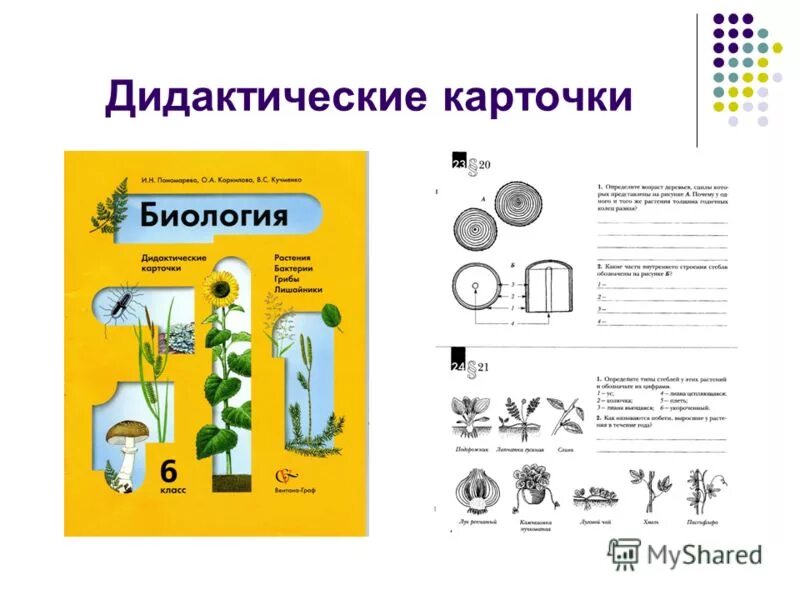 Дидактические карточки по биологии 8 класс. Карточки задания по биологии. Биология карточки с заданиями. Наглядный материал по биологии.