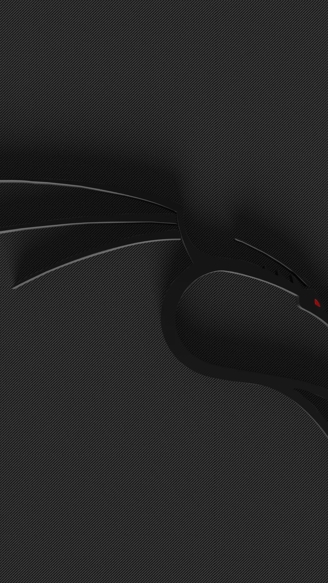 Kali linux android. Кали линукс. wallpaper linux для телефона. тёмные обои на телефон. linux обои на телефон.
