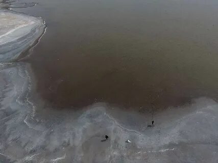 Аскали