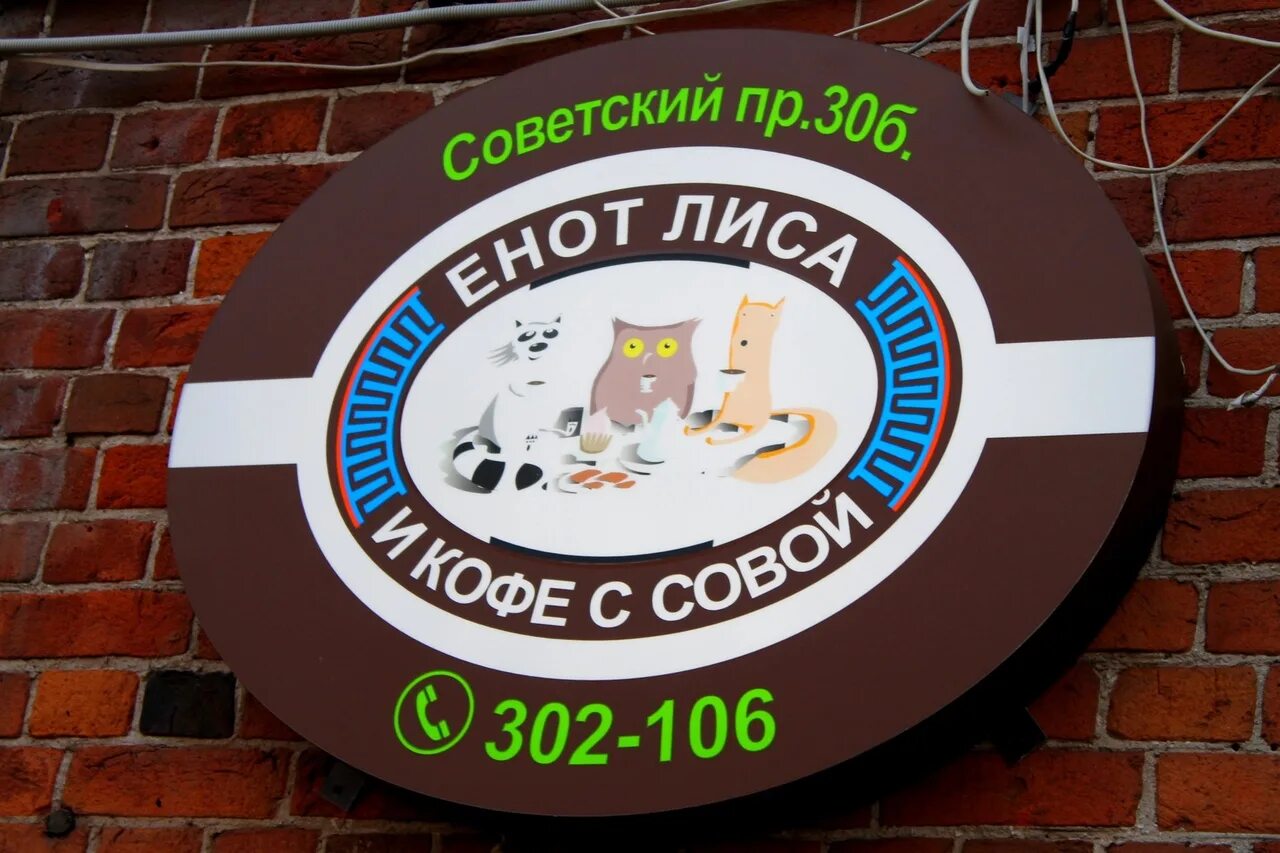 Магазин сова череповец. Кофейня енот лиса и кофе с совой череповец. енот лиса и кофе с совой. кафе енот череповец. кафе с енотами.