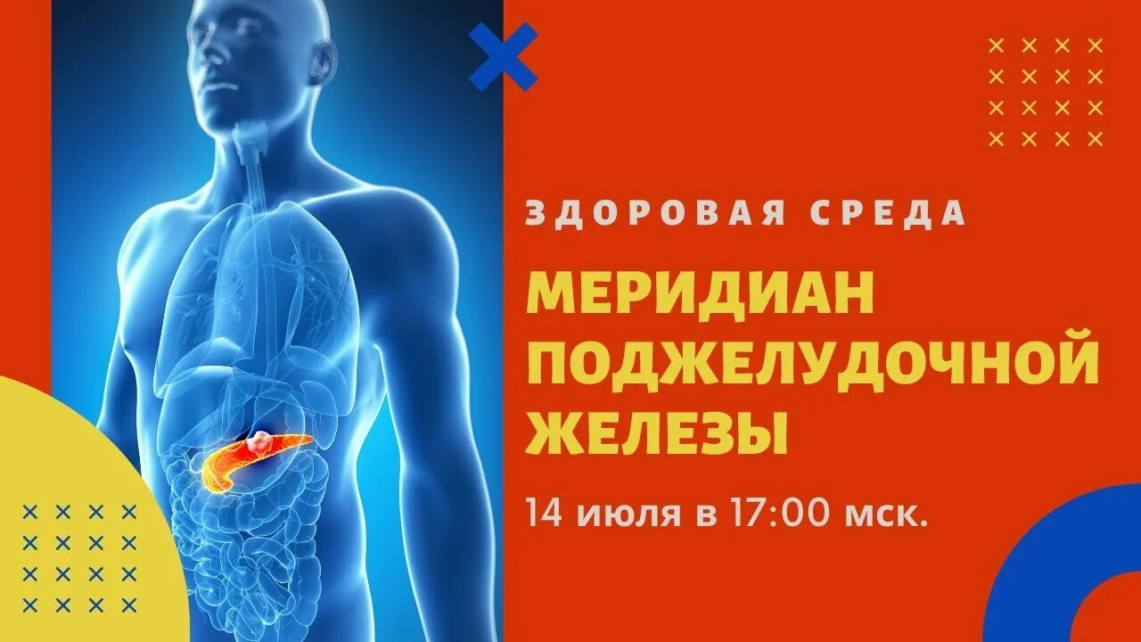 Меридиан селезенки и поджелудочной железы точки акупунктуры. Меридиан поджелудочной железы схема. Меридиан поджелудочной железы схема. Поджелудочная китайская медицина. Поджелудочная китайская медицина.